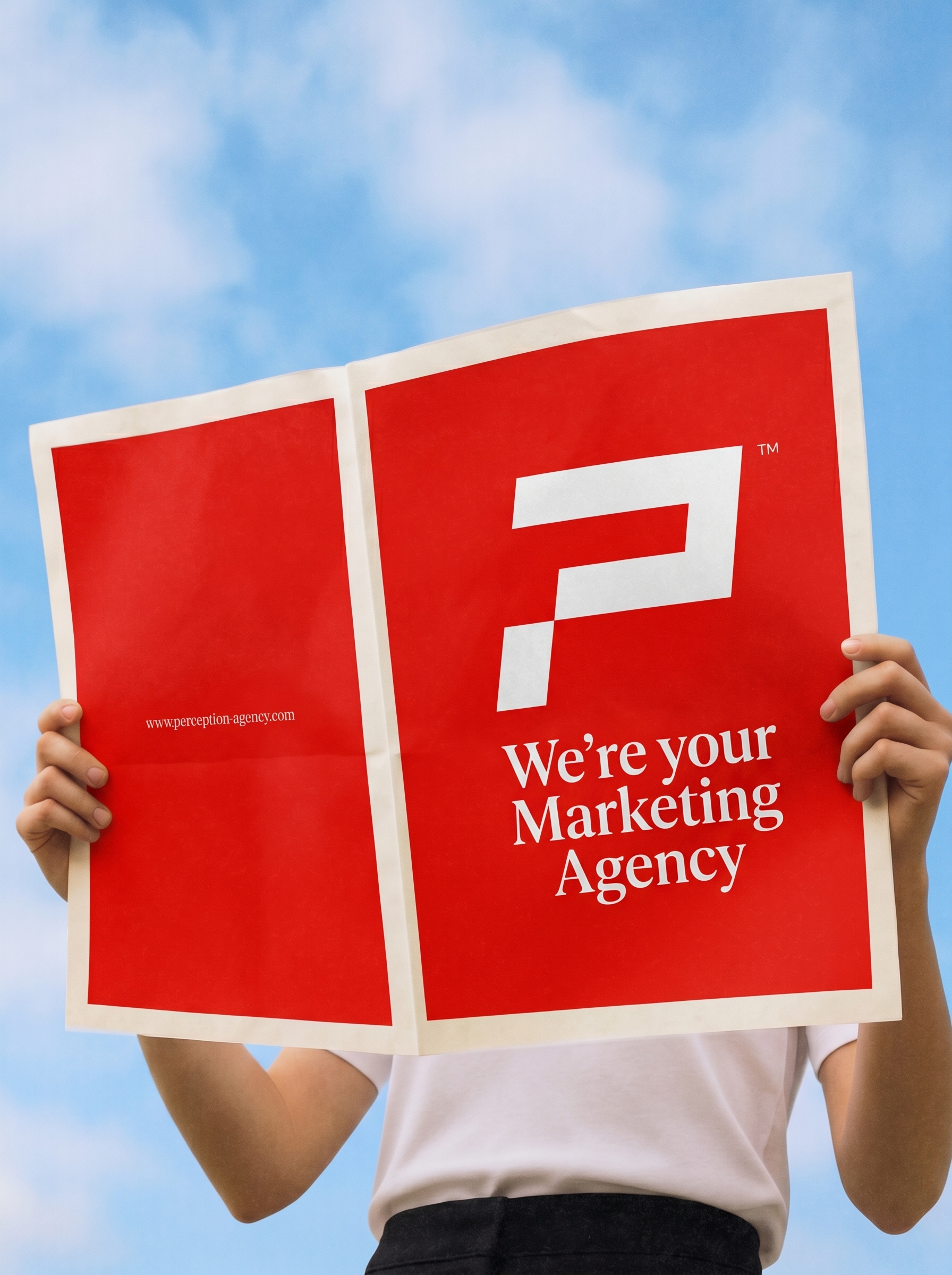 Agence Stratégie Marketing Digital
