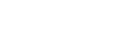 Wallys car Logo